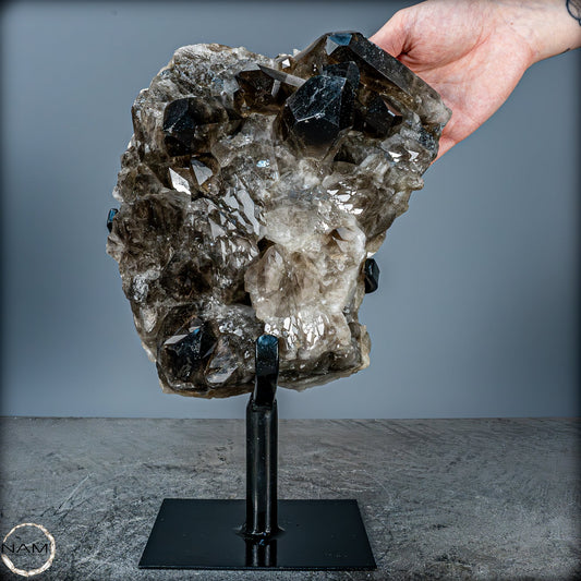 Große Natürliche Rauchquarz-Kristalle auf Ständer - 4719,38 g