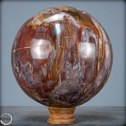 Natürliche Kristall-Kugel aus Versteinertem Holz  - 5089,72g - 170mm