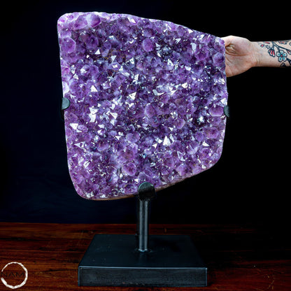 Natürliche Amethyst-Kristalle/Druse auf Ständer - 20956,11g