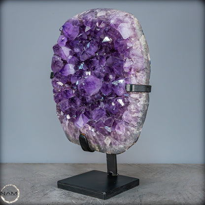 Natürliche Amethyst-Kristalle/Druse auf Ständer - 12881,84g