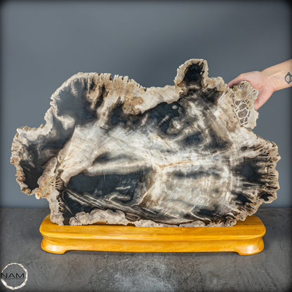 Natürliche Versteinerte Holz Kristall-Scheibe aus Arizona - 16728,48g