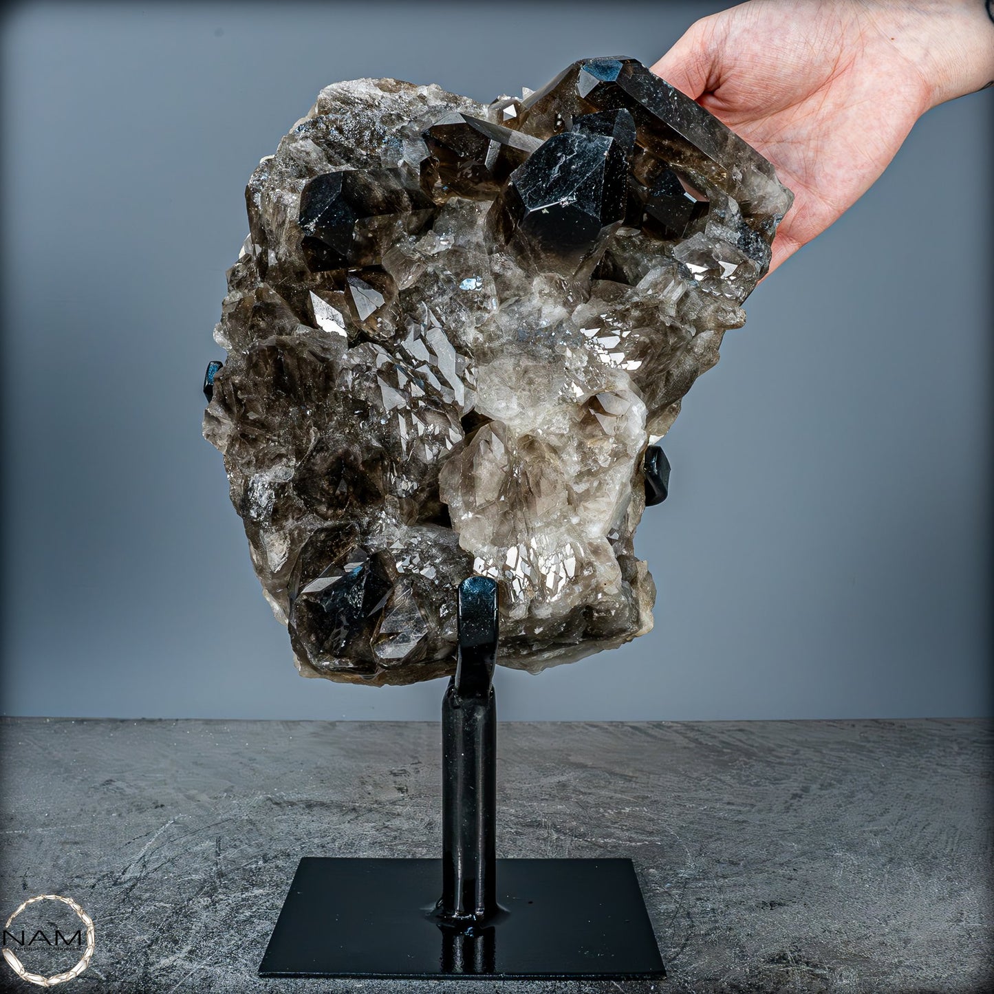 Große Natürliche Rauchquarz-Kristalle auf Ständer - 4719,38 g