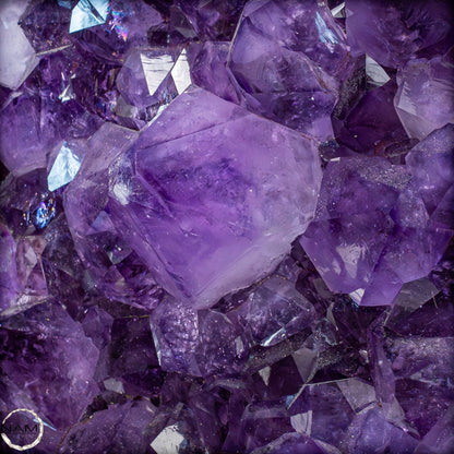 Natürliche Amethyst-Kristalle/Druse auf Ständer - 12881,84g