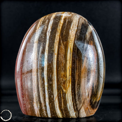 Natürliche Kristall-Freiform aus Versteinertem Holz  - 893,59g