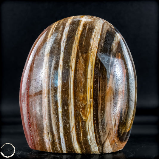 Natürliche Kristall-Freiform aus Versteinertem Holz  - 893,59g