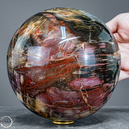Natürliche Kristall-Kugel aus Versteinertem Holz  - 3624,55g