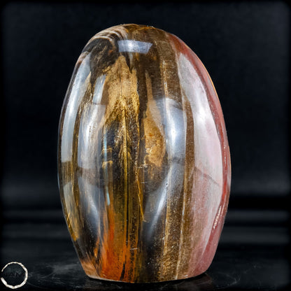 Natürliche Kristall-Freiform aus Versteinertem Holz  - 893,59g