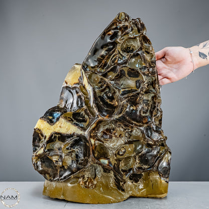 Septarien-Skulptur mit Ammonit aus Russland – 22569,66g