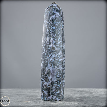 Natürlicher Merlinit (Gabbro) Kristall Obelisk - 821,77g