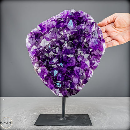 Amethyst Druse auf elegantem Metallständer - 6100,24g