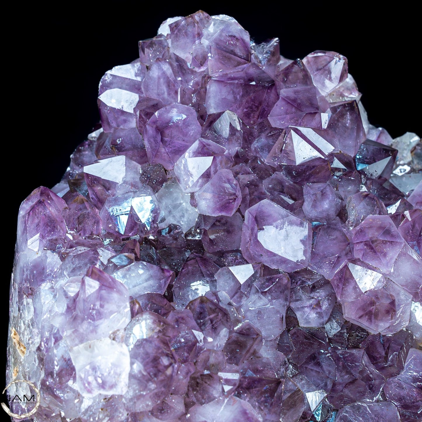 Natürliche Amethyst-Kristalle/Druse auf Ständer - 15604,12g