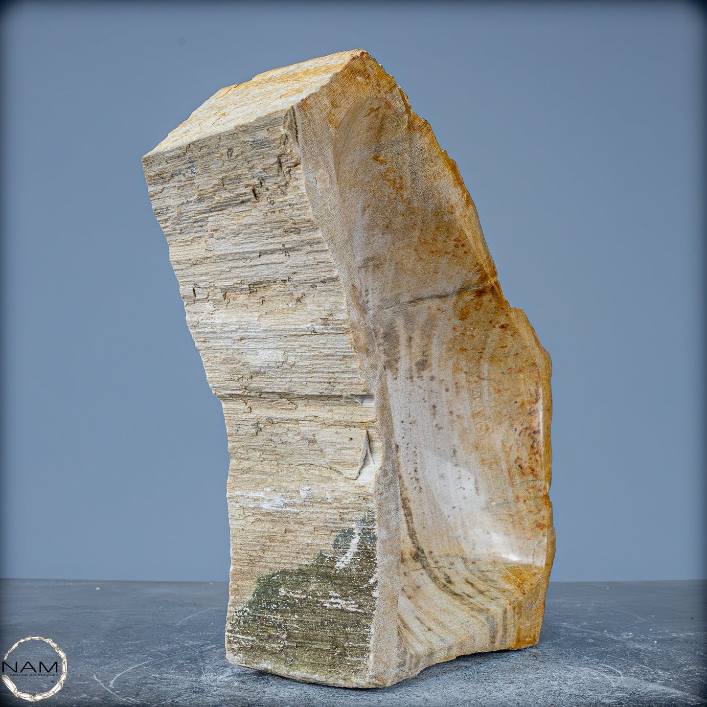 Natürliche Versteinerte Holz Kristall-Schale - 2599,59g