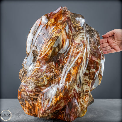 Natürliche Kristall-Flamme aus Versteinertem Holz  - 57231,11g