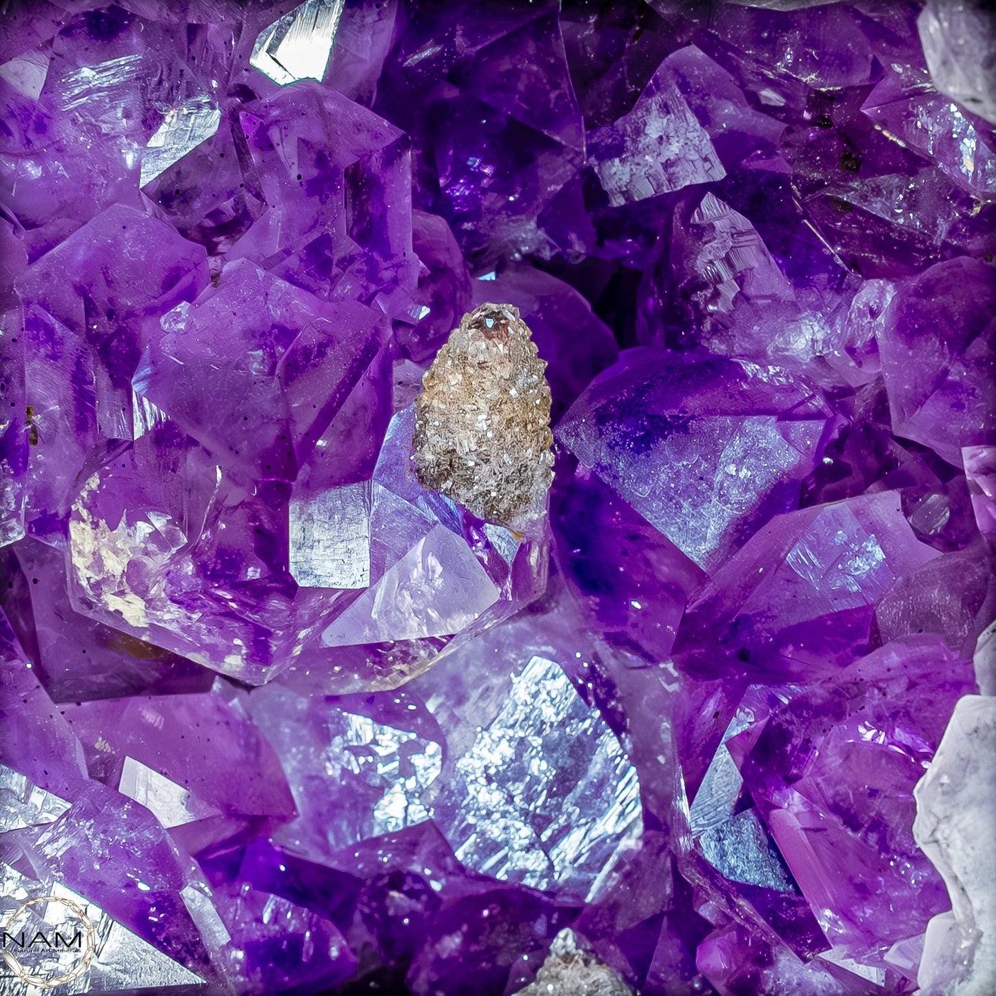 Amethyst-Druse–Naturkunst voller Kristallenergie- 26510,22g