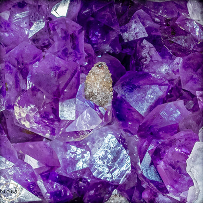 Amethyst-Druse–Naturkunst voller Kristallenergie- 26510,22g