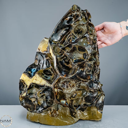 Septarien-Skulptur mit Ammonit aus Russland – 22569,66g