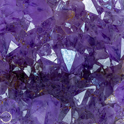 Natürliche Amethyst-Kristalle/Druse auf Ständer - 5093,15g