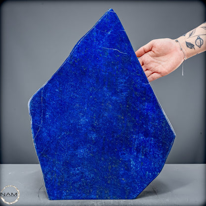 Königsblaue Lapis Lazuli Freiform – 15 kg pure Eleganz - 15084,72g