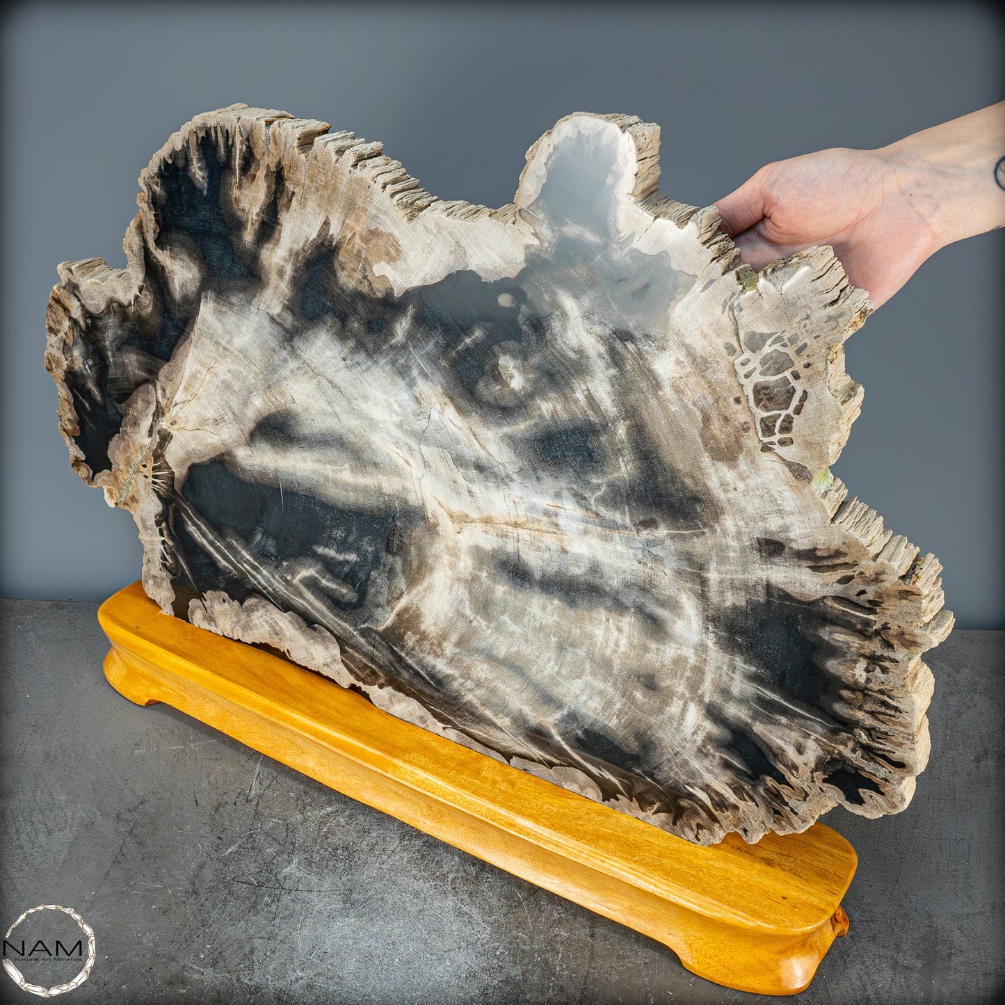 Natürliche Versteinerte Holz Kristall-Scheibe aus Arizona - 16728,48g
