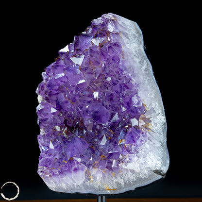 Natürliche Amethyst-Kristalle/Druse auf Ständer - 5093,15g