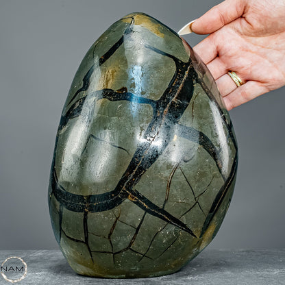 Natürliche Septarien Druse mit Calzit Kristallen - 5621,44g