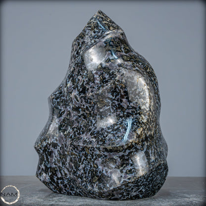 Natürliche Merlinit (Gabbro) Kristall Flamme - 5685,15g