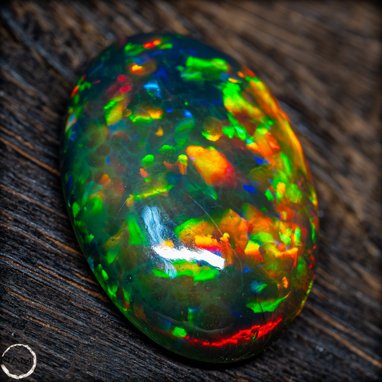 Großer AAA+ Schwarzer Opal Cabochon - 24.3 ct - 4.86 g