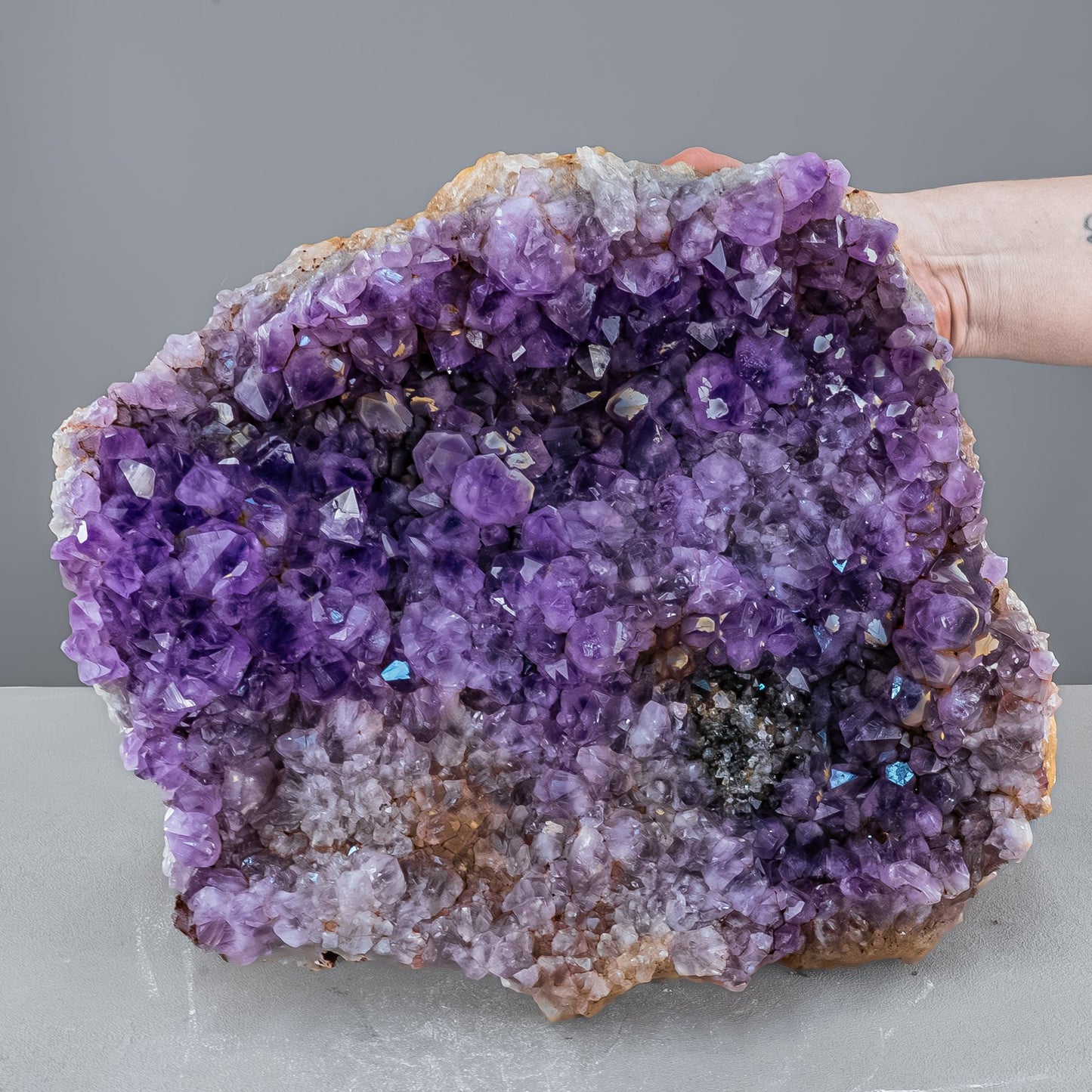 Riesen Kaktus-Amethyst aus Südafrika - 11765,71g
