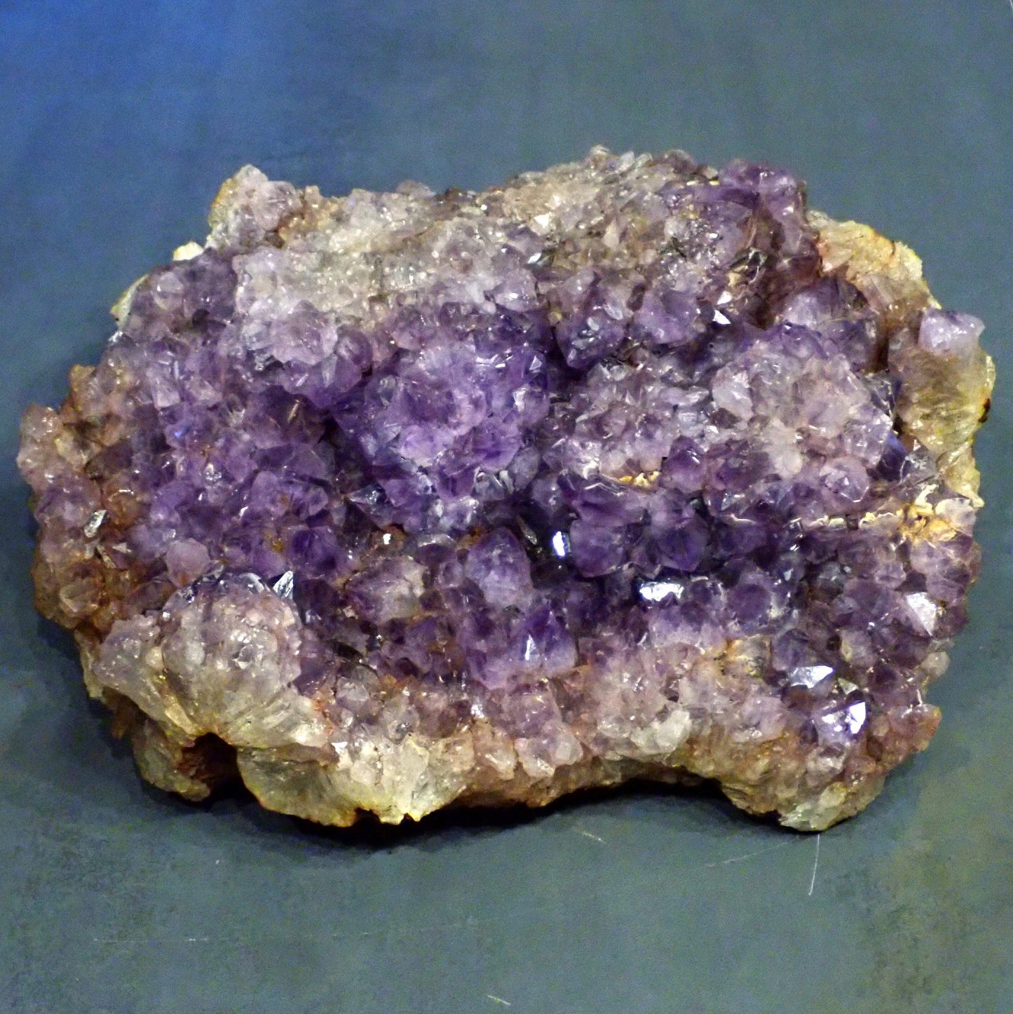 Riesen Kaktus-Amethyst aus Südafrika - 17609g - 380x305x155mm