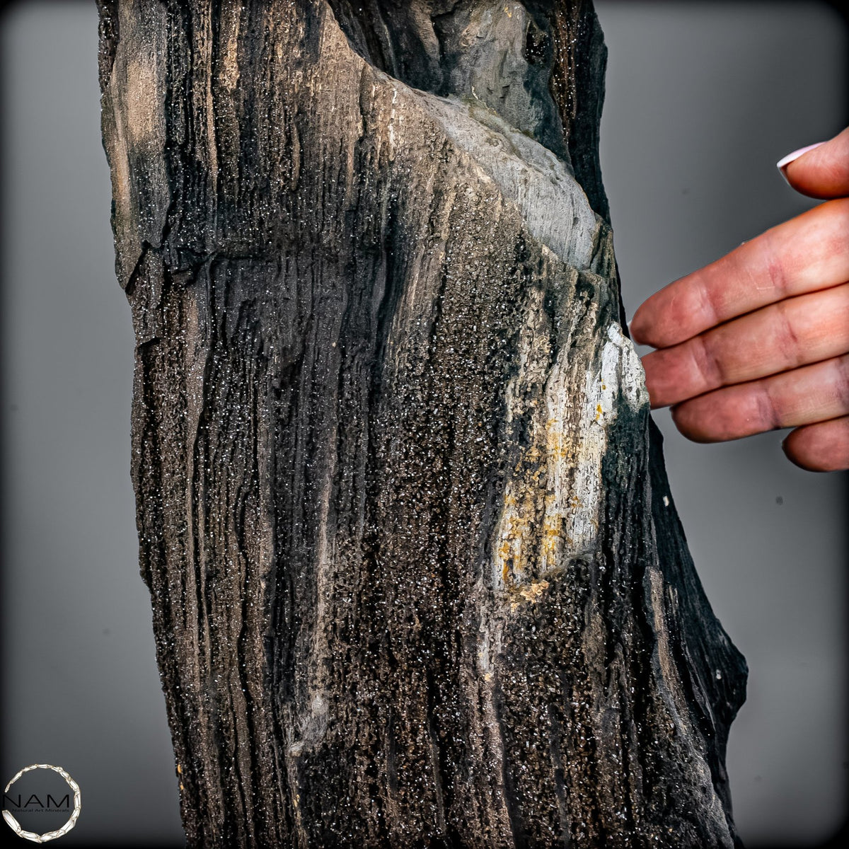 Feenholz – Ein außergewöhnliches Naturkunstwerk  – 7174,96g