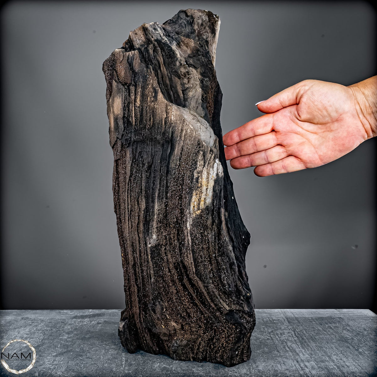 Feenholz – Ein außergewöhnliches Naturkunstwerk  – 7174,96g