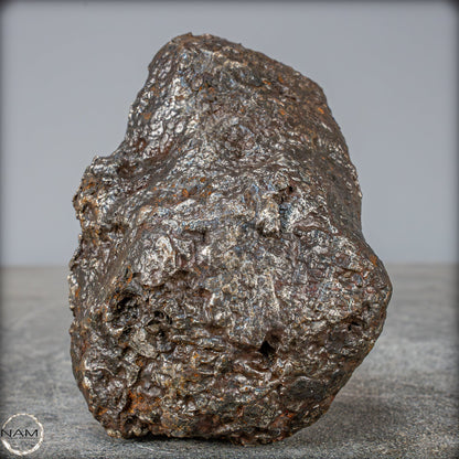 Natürlicher Sehr Großer Meteorit Campo Del Cielo, Argentinien - 1351,89g