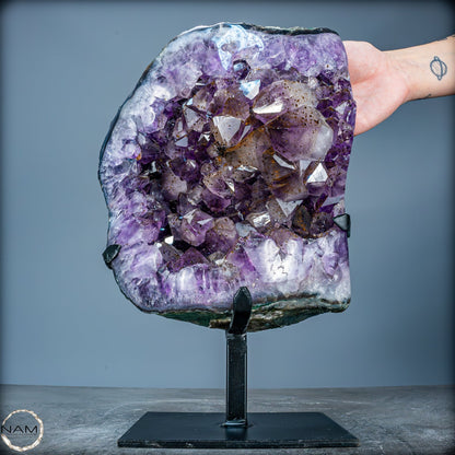 Natürliche Amethyst-Kristalle/Druse auf Ständer - 8280,11g