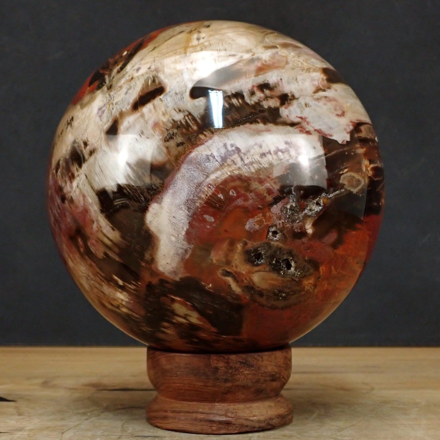 Versteinertes Holz als Große Kugel - 6931.55g - 180mm