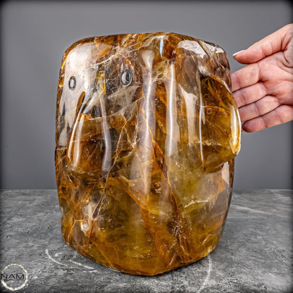 Healer-Quarz „Stone Head“ – Ein außergewöhnliches Sammlerstück -10701,26g