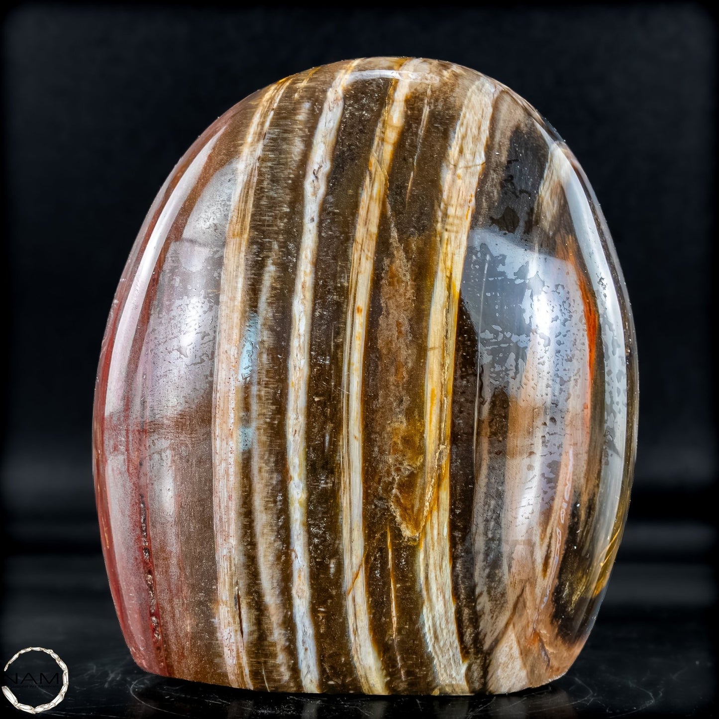 Natürliche Kristall-Freiform aus Versteinertem Holz  - 893,59g