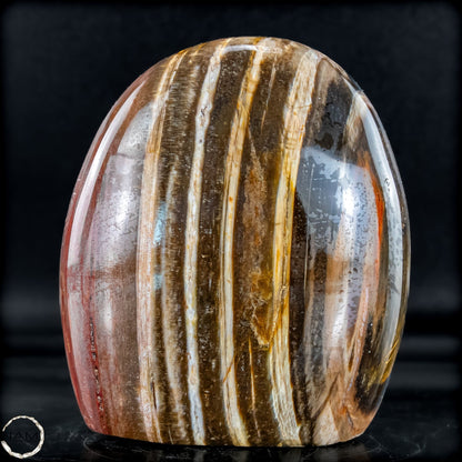 Natürliche Kristall-Freiform aus Versteinertem Holz  - 893,59g