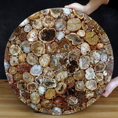 Wunderschöne Platte aus Versteinertem Holz Gewicht: 21665 g - 700 x 700 x 30 mm