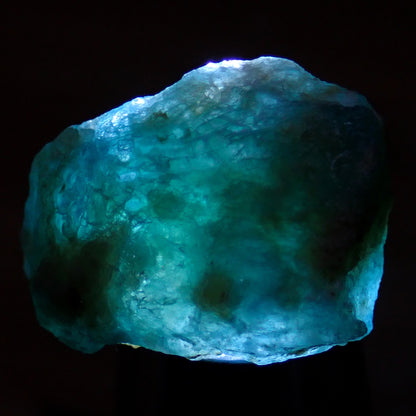 Blau-grüner Grandidierit-kristall, 51,05ct - 10,21g - 27,2 x 19,9 x 13,3mm