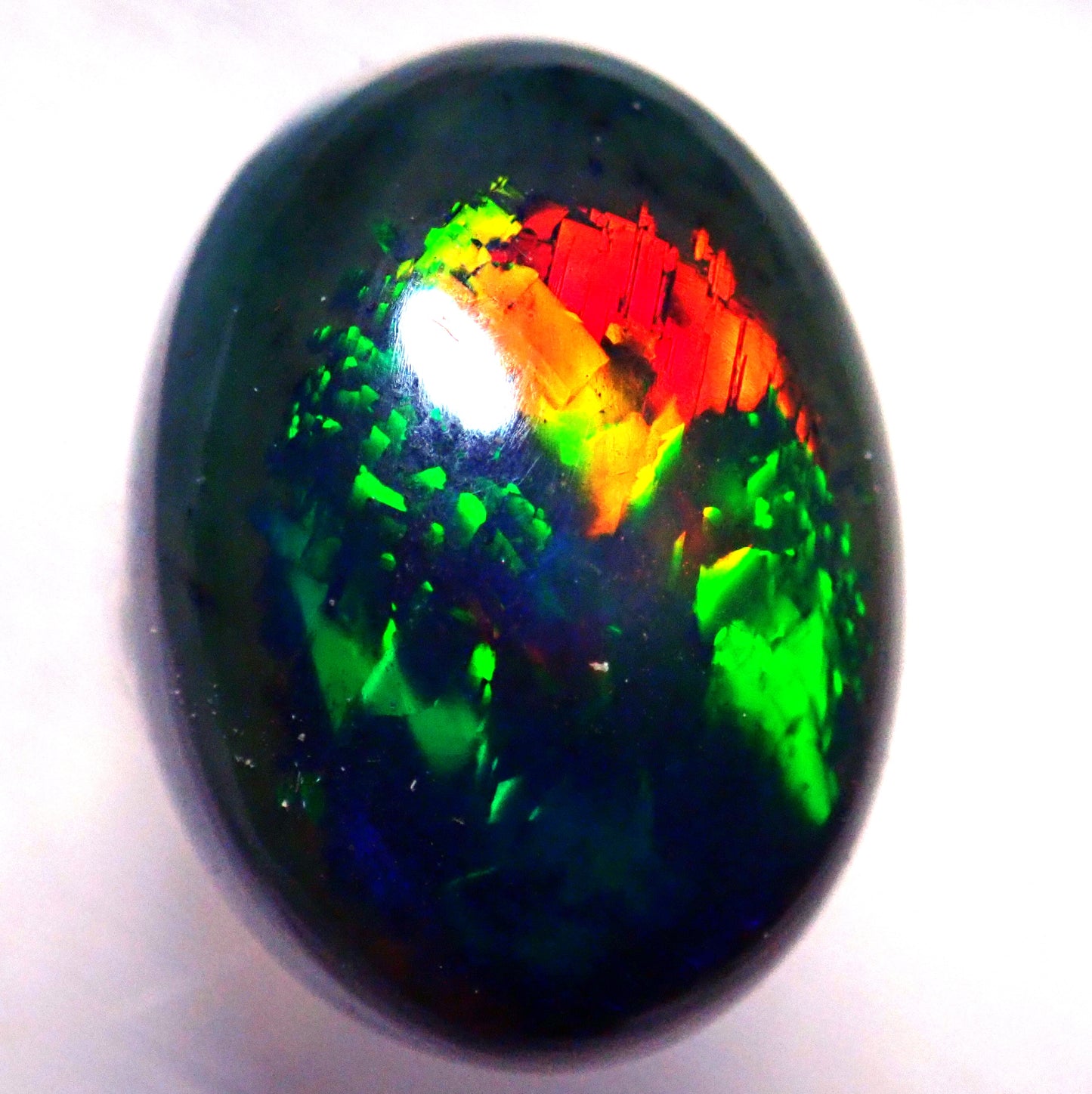 Opal Cabochon (Schwarz) aus Äthiopien, 6,17ct - 1,234g - 15,1 x 11,1 x 8,3 mm